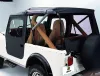 Softtop Tigertop-Softtop ohne Schienensystem mit Druckknöpfen Black Crush - Jeep CJ3A 48 - 53